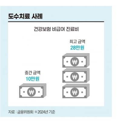 그래픽=송영 기자