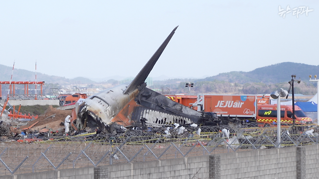 지난 1월 1일 촬영한 '제주항공 참사' 사고 여객기의 모습.
