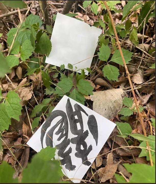 2022년 6월 18일경 한 시민이 용산 대통령 집무실 근처 미군기지 담벼락 주변에 수십장 뿌려져 있었다고 제보한 용(龍) 자가 적힌 부적 / bada.us