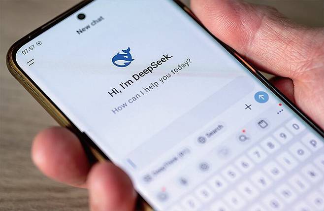 저비용 고효율 AI 모델로 주목받은 딥시크. /셔터스톡