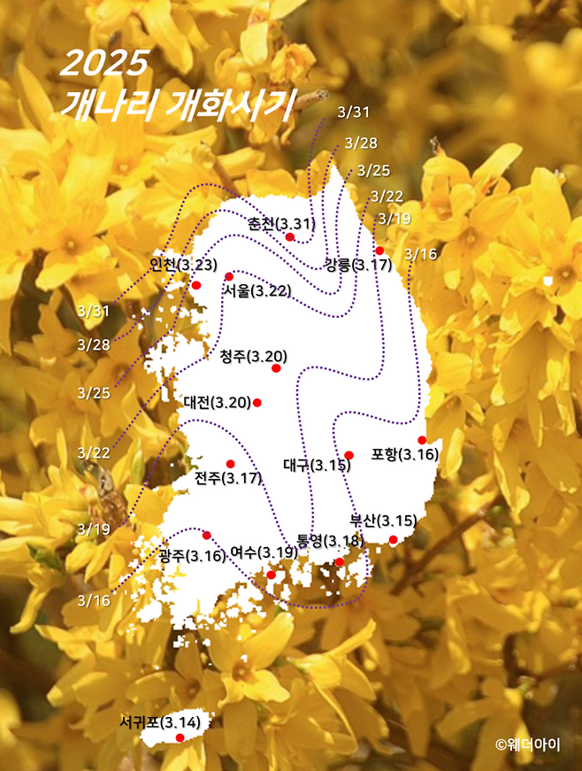 사진 = 웨더아이