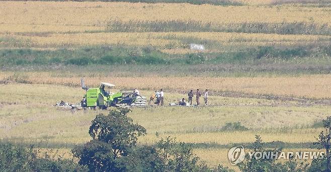 콤바인으로 벼 베기 하는 북한 들녘 (인천=연합뉴스) 임순석 기자 = 23일 오후 인천 강화군 강화평화전망대에서 바라본 북한 황해도 개풍군 들녘에서 북한 주민들이 콤바인으로 벼베기하고 있다. 2024.9.23 soonseok02@yna.co.kr