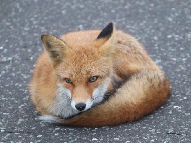 789b8204c0f66a82239b83e1469c706bf6c2708cb54bbee1a43f0d8712be007f9205373ac53a7a5b4deef5787edf7e8f6d10bb05