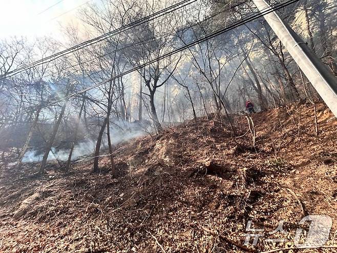 산불 관련 자료사진 2025.2.27/뉴스1 ⓒ News1 최창호 기자