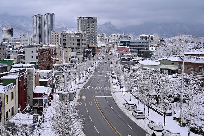 3일 오전 신속한 제설작업이 이뤄진 속초시 주요 도심 도로. 속초시 제공