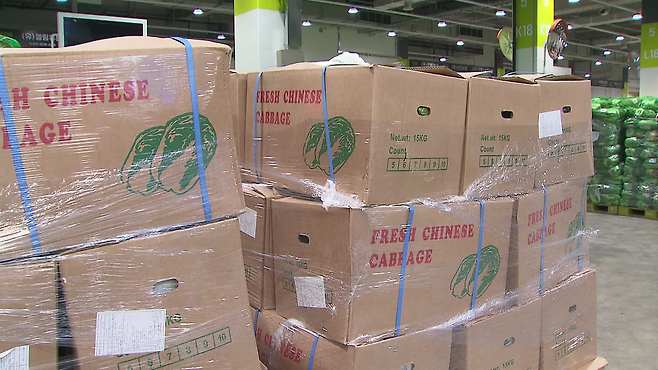 상자에 담겨있는 중국산 배추. 이날 가락동 농수산물시장 경매에 오른 중국산 배추는 4톤가량이었다.