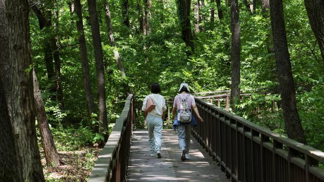 부천자연생태공원 내 ‘누구나숲길’. 사진 제공 = 부천시