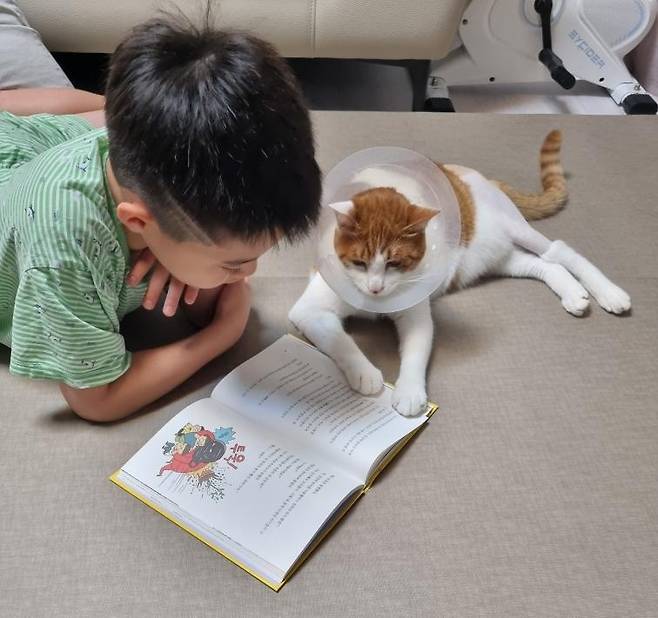 '책장도 잡아준다냥' (인스타그램 Hana Ryu 제공) ⓒ 뉴스1