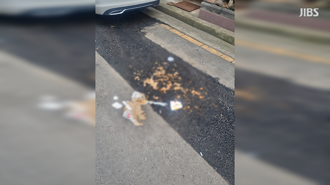 차에 밟힌 음식물 쓰레기 봉투가 터져 도로에 내용물이 널브러진 모습 (사진, 시청자 제공)