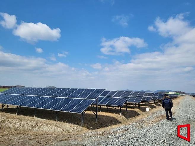 지난달 24일 방문한 전남 해남군 솔라시도 재생산업단지 모습. 성인 남성 키를 훌쩍 넘는 높이의 거대한 태양광 패널이 25만장 깔려 있다. 심성아 기자