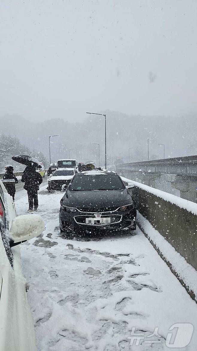 강원 산간과 동해안을 중심으로 폭설이 쏟아진 18일 평창 진부면 하진부리 영동고속도로 강릉방향 사고 현장.(강원도소방본부 제공, 재판매 및 DB금지) 2025.3.18/뉴스1