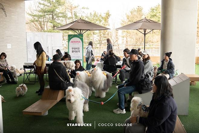 스타벅스 최초의 펫 프렌들리 매장인 더북한강R점.