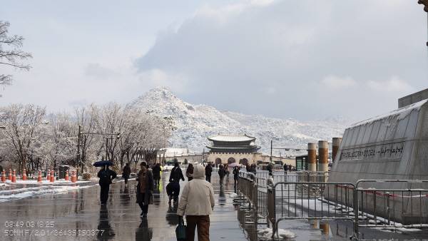 낫싱 폰3a 같은 장소에서 촬영. 정옥재 기자
