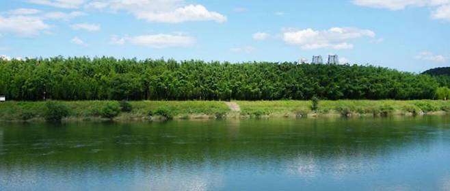 태화강국가정원 內 국내 최대 십리대길.