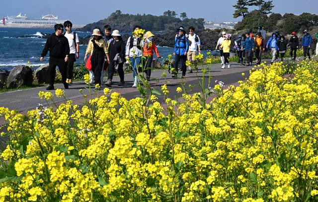 ▲ 22일 제주 서귀포시에서 열린 제27회 서귀포유채꽃국제걷기대회 참가자들이 법환해안도로를 걷고 있다. 연합뉴스