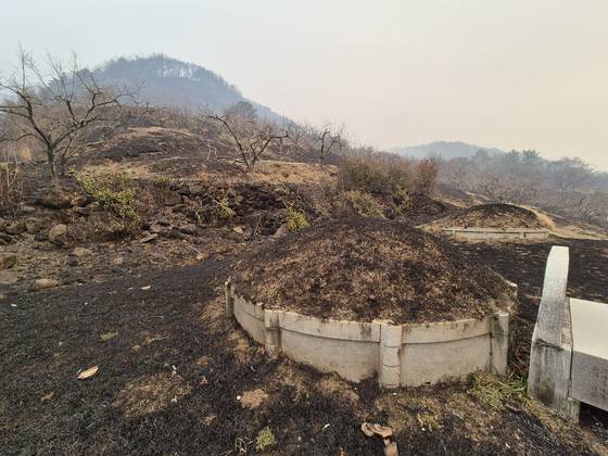 23일 오전 경남 산청군 시천면의 한 야산에 있는 묘지가 산불에 새까맣게 그을려 있다. 안대훈 기자