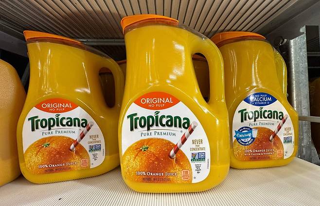 (사진=AFP연합뉴스)