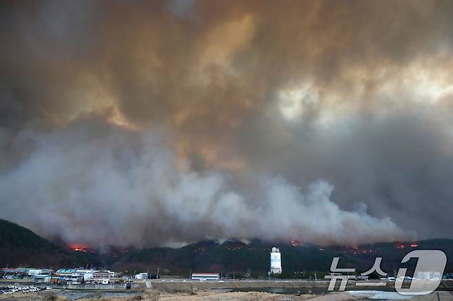 25일 오후 경북 안동 전역에 강풍이 불어 산불이 급속도로 확산하고 있다. 2025.3.25/뉴스1 ⓒ News1 공정식 기자