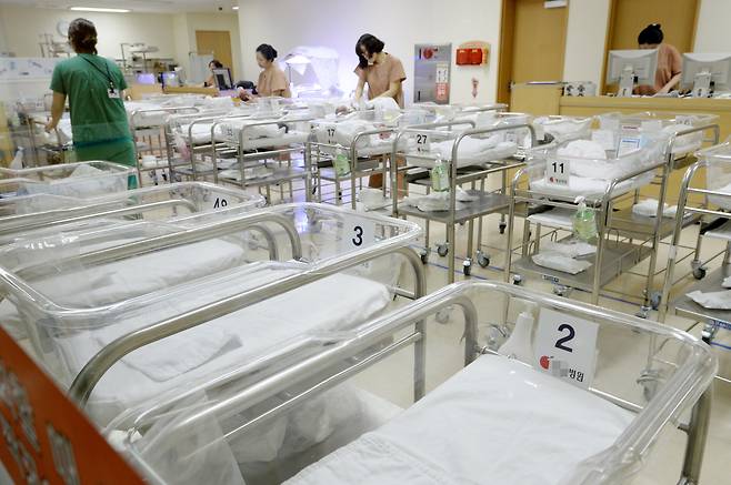 서울 시내의 한 산부인과 병원 신생아실에서 간호사들이 업무를 보고 있다. /뉴스1