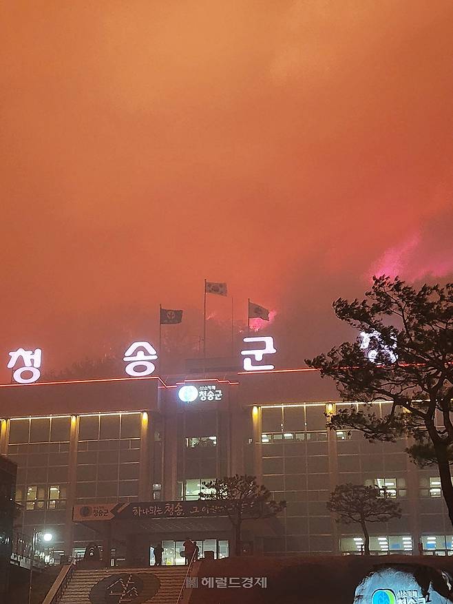 화염에 휩싸인 청송군청 뒷산(독자제공)