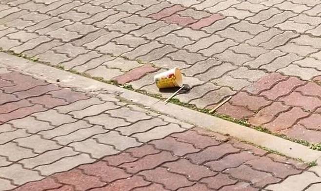길바닥에 내동댕이쳐진 컵라면 용기와 젓가락. 뉴스1