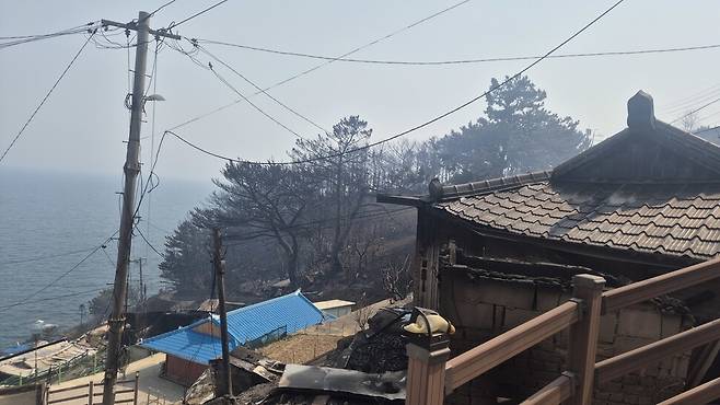 26일 ‘따개비마을’로 부르는 경북 영덕군 영덕읍 석리가 불에 탄 모습. 주성미 기자