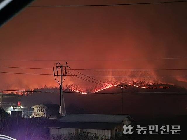 24일 밤 경북 의성군 원당리 뒷산이 산불로 무섭게 타고 있다.