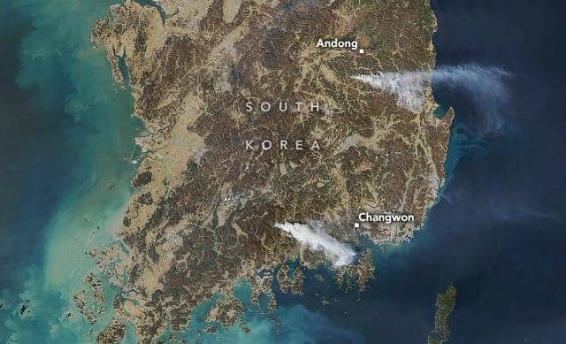 나사 온라인 매체 '나사 지구관측소'가 25일 공개한 한반도 위성 사진. 나사가 운영하는 아쿠아(Aqua) 위성에 탑재된 센서 모디스(MODIS)로 22일 촬영한 사진이다. 나사 지구관측소 제공