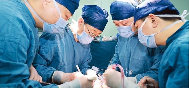 중국 공군의대 시징병원 연구진이 면역 거부반응이 없도록 유전자를 편집한 돼지의 간을 뇌사자에게 이식하고 있다. /중국 공군의대 제공