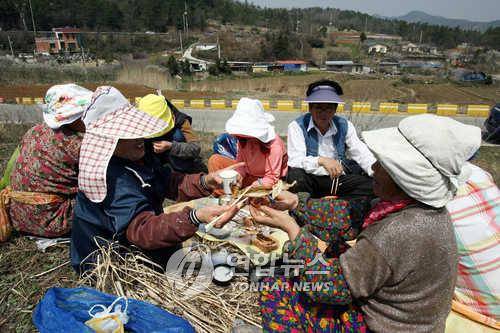 새참은 꿀맛 전남 무안군 삼향면 용포리 밭도랑과 밭에서 쑥을 캐거나 갓을 수확하던 아낙네와 농부가 잠시 일손을 멈추고 언덕위에 둘러앉아 준비해온 밥과 김치, 조기 등을 안주삼아 막걸리를 마시며 봄기운을 만끽하고 있다./나경택/사회/ 2006.4.6 (무안=연합뉴스) kt@yna.co.kr (끝)
