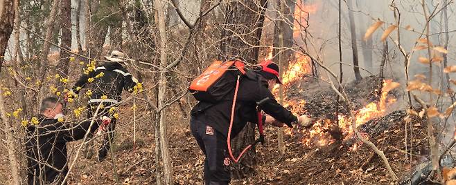 영덕군 공무원들이 산불 진화에 나서고 있다. 이종석씨(영덕군 독자) 제공