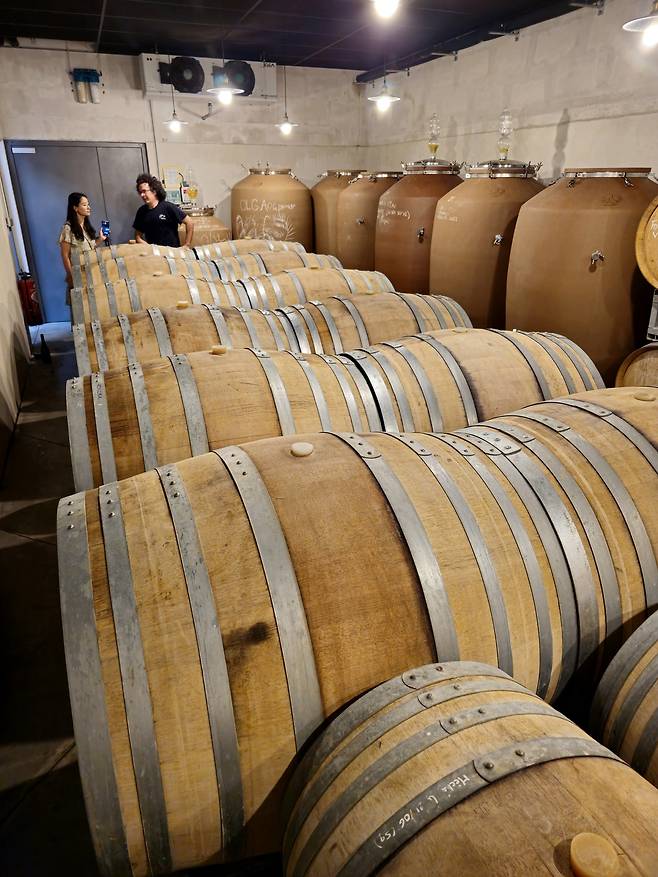 르 도멘 당리 셀러 오크통과 암포라. 최현태 기자