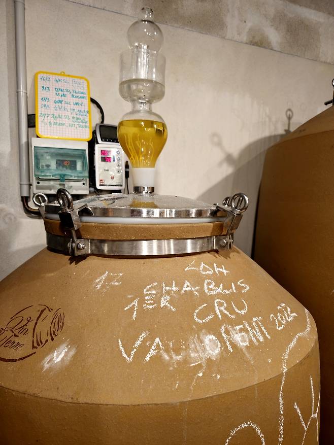 암포라에서 숙성중인 르 도멘 당리 볼로랑 2022. 최현태 기자