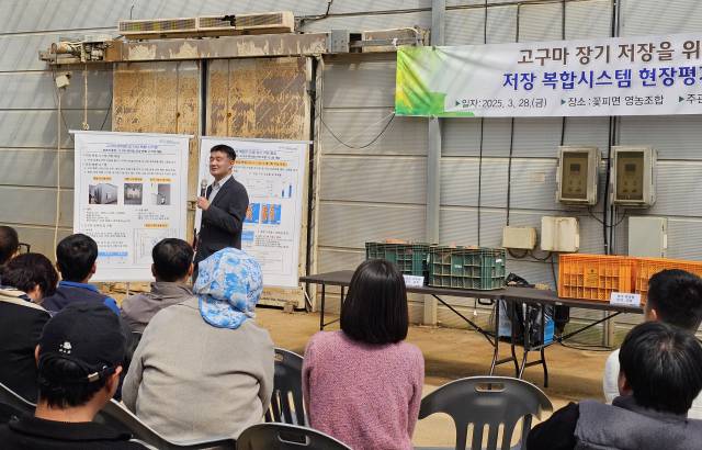 ▲30일 농촌진흥청에 따르면 고구마 장기 저장 품질 개선을 위해 고구마 아물이 처리(큐어링)와 저장 복합 장치를 개발하고 이틀 전에 전남 해남서 고구마 재배 농가와 유통업체·연구기관을 대상으로 현장 평가회를 열었다. ⓒ농촌진흥청