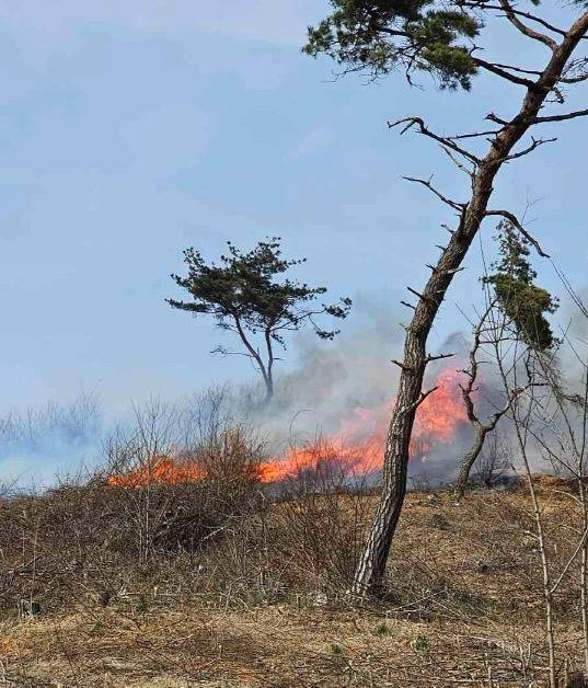 지난 31일 오후 3시26분께 충남 당진시 고대면 당진포리 야산에서 산불이 발생했으며 39분 만에 진화됐다. 사진=당진시 제공.