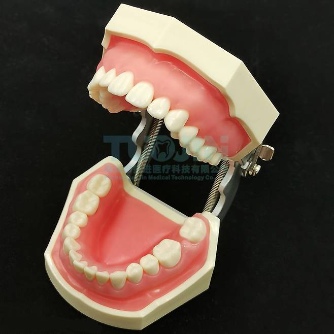 20250331_204502.jpg 20년 넘게 살면서 처음으로 인지한 사실