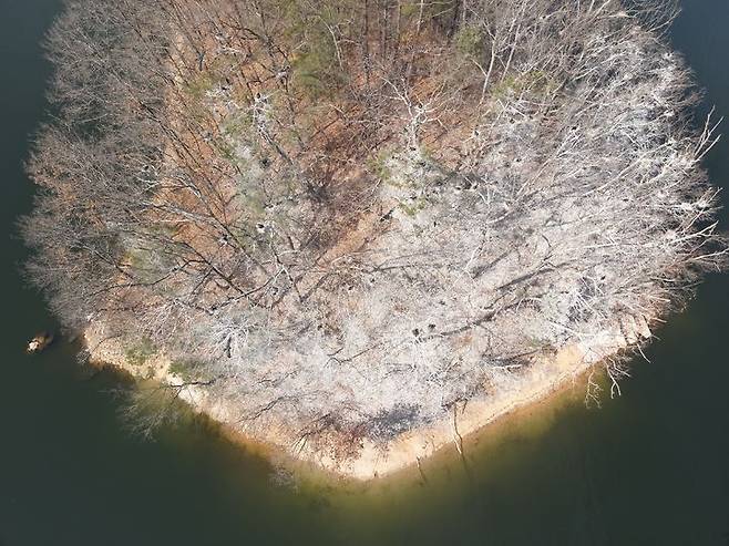 가마우지 피해 구역. *재판매 및 DB 금지