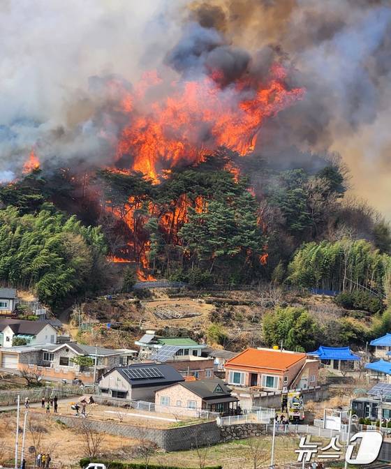임도가 정상까지 개설된 언양읍 화장산 산불이 발생 20시간 만에 진화된 반면 온양읍 대운산 산불을 잡는데 6일 걸리는 등 애를 먹었다.사진은 울산 울주군 언양읍 화장산에서 불이 나 불길이 민가까지 접근하는 모습. (독자 제공. 재판매 및 DB 금지)