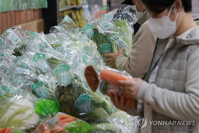 서울시내 한 마트를 찾은 시민들이 배추와 당근을 고르고 있다. 연합뉴스