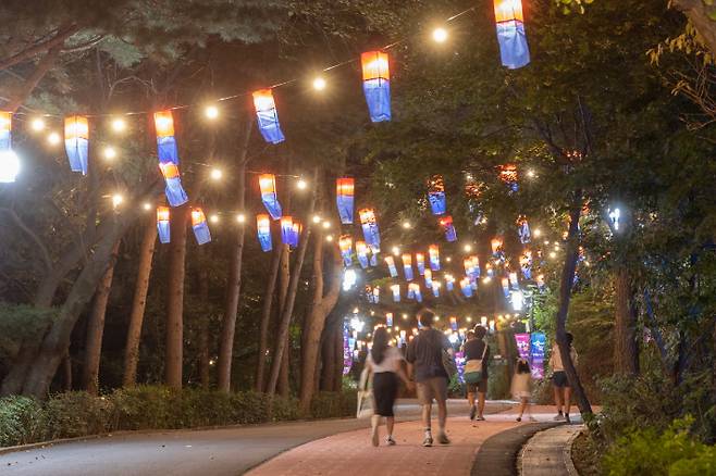 2024 '행주가(街) 예술이야(夜)' 청사초롱 불 밝힌 길. 고양시 제공