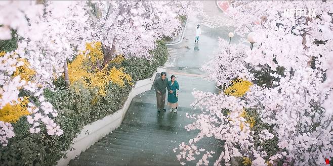 넷플릭스 드라마 '폭싹 속았수다'의 한 장면. 넷플릭스