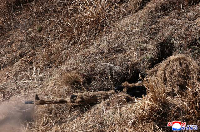 김정은 북한 국무위원장이 지난 4월 4일 특수작전부대 훈련기지를 방문하고 종합훈련을 지도했다고 조선중앙통신이 5일 보도했다. 조선중앙통신·연합뉴스