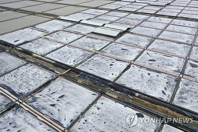 새하얀 소금 결정 (신안=연합뉴스) 정다움 기자 = 5일 오후 전남 신안군 증도면 태평염전에 소금 결정이 맺히고 있다. 2023.6.6 daum@yna.co.kr