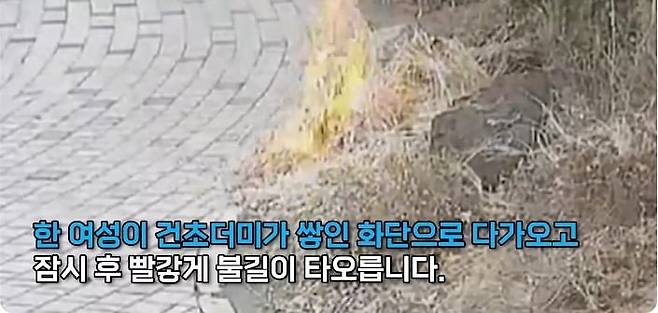 20250411060832_E4dJ1Co07W.jpeg 아파트 단지 화단에 불지른 여자