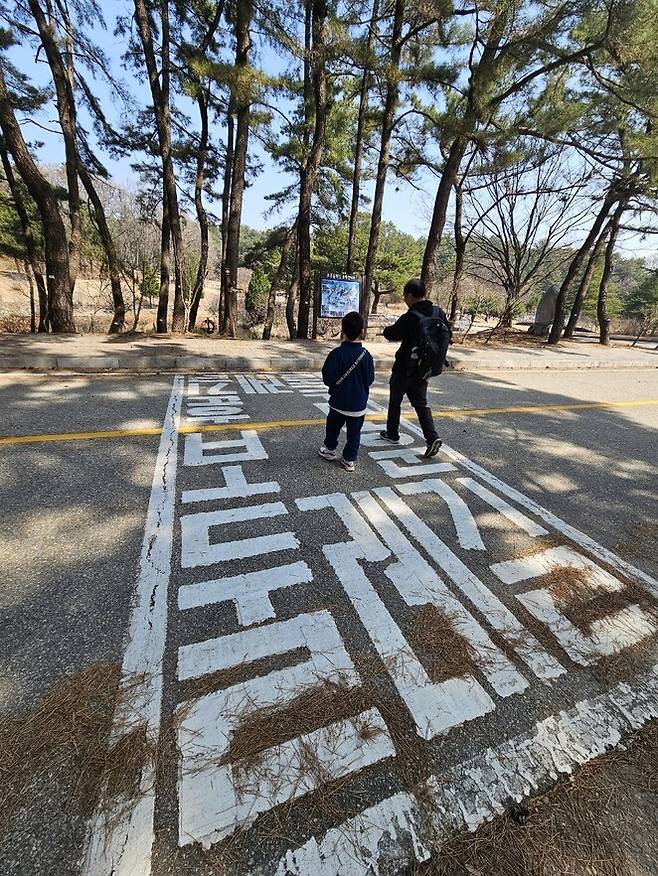 대전현충원 둘레길 1코스인 빨강길을 벗어나 주황길 쪽으로 가고 있다. 최예린 기자