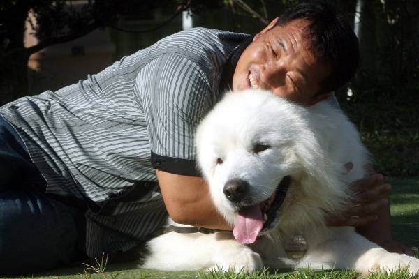 2014년 4월11일 '국민애견' 상근이가 세상을 떠났다. 사진은 상근이와 주인 이웅종 애견훈련소 소장 모습. /사진=머니투데이