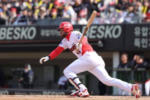 위즈덤/KIA 타이거즈