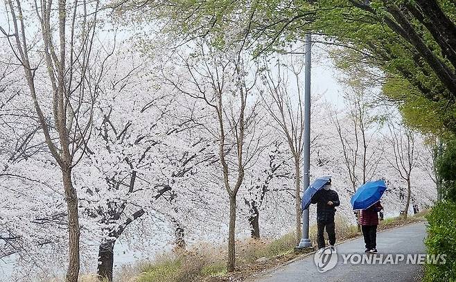 생각보다 너무 강했던 봄바람 (춘천=연합뉴스) 양지웅 기자 = 강원도내 곳곳에 눈비를 동반한 강풍이 몰아친 14일 춘천시 공지천 산책로에서 우산을 든 시민들이 발걸음을 옮기고 있다. 2025.4.13 yangdoo@yna.co.kr