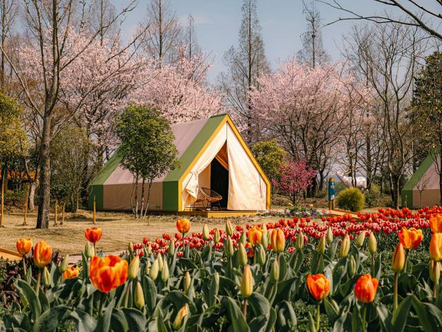 5성급 호텔 부럽지 않은 정원에서의 특별한 하룻밤을 제공하는 정원워케이션. 사진 제공=순천시