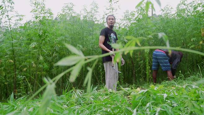 제목 : 풀상영시간 : 89분 청소년관람불가, 감독 : 이수정, 출연 : 권용현, 천호균, 보리, 이명현, 강병석, 빌스택스, 김도, 배급 : 미디어나무㈜ 제작·공동배급 : 생의 한가운데